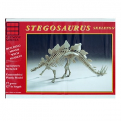 Model plastikowy - Szkielet dinozaura Stegosaurus Skeleton - Glencoe Models